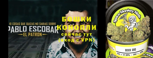 СК Рославль