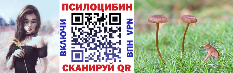 Псилоцибиновые грибы ЛСД даркнет формула Каргополь