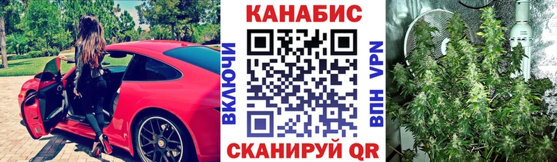 МАРИХУАНА план  наркота  Каргополь 